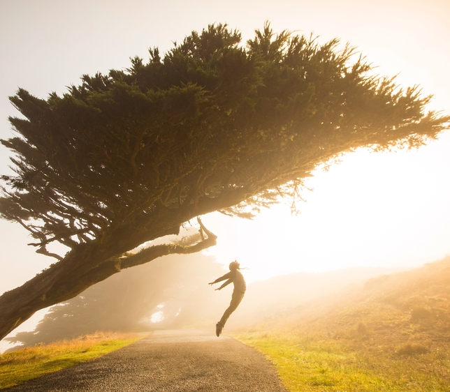 4 Rules for Achieving Limitless Acting