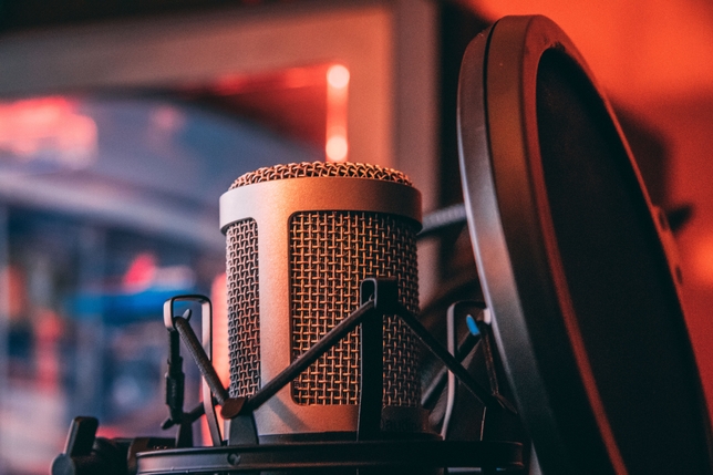 Wading Through Voiceover Myths and Facts With a Dynamic Duo