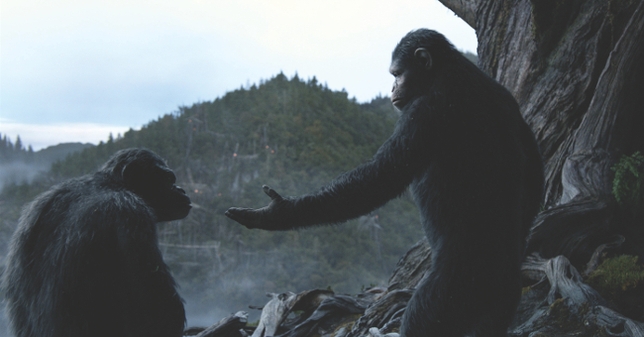 How Debra Zane Cast Actors to Play Apes