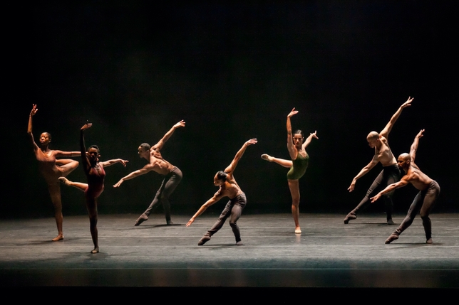 Complexions Contemporary Ballet Deserves Better Choreography