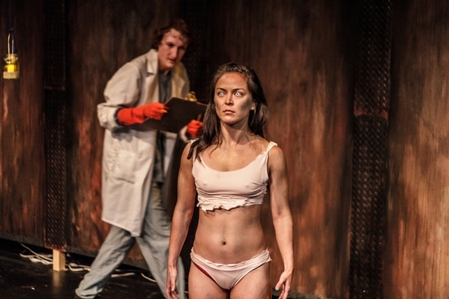 Even Without the Gore, 'Motherboard' Would be a Memorable Evening at the Theater