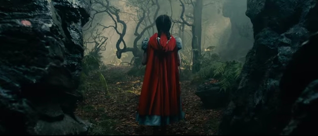 How an Audience Member Saved (and Starred in) ‘Into the Woods’
