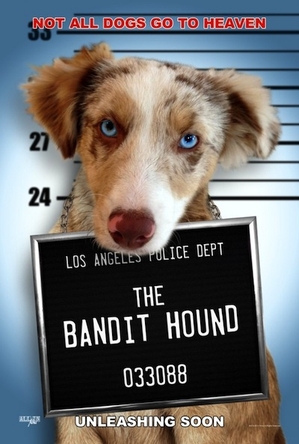 L.A. Now Casting ‘The Bandit Hound’ and Other Upcoming Auditions