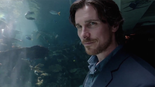 Oscars 2016: 16 Films to Keep an Eye On