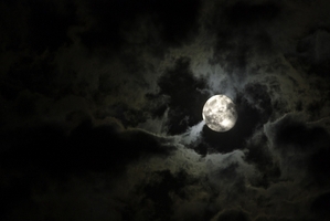 L.A. Now Casting ‘Alone in the Dead of Night’ and Other Upcoming Auditions