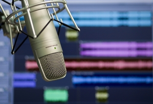 Do Celebrity Voices Affect the Bottom Line?