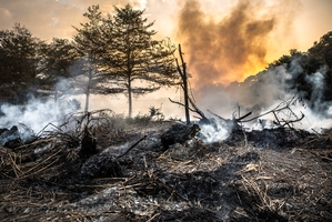 Caring For Your Voice When Wildfires Burn