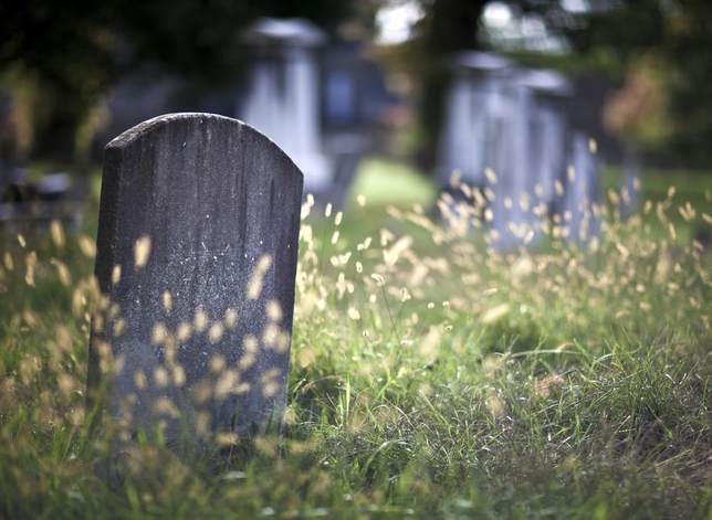 Now Casting: ‘Grave Secrets’ and More Thrilling Gigs