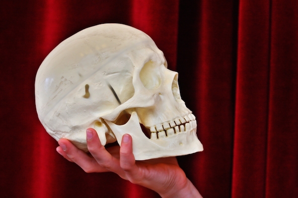 ‘I Hate Hamlet’ and 7 Other Roles to Audition For