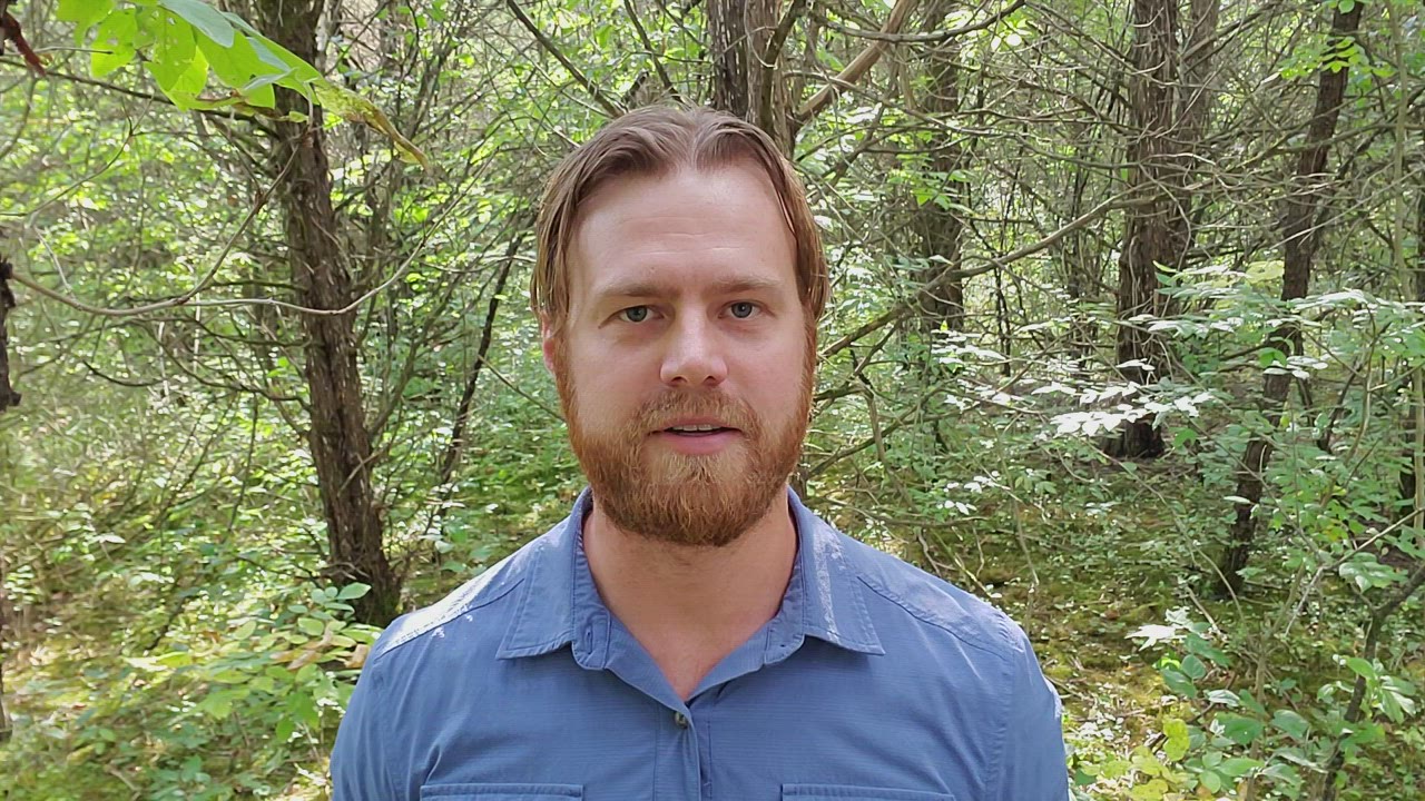 Colin Parr - Professional Profile, Photos on StarNow